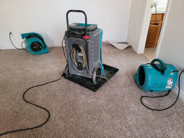 Best Flood restoration services  in Clarkdale, AZ