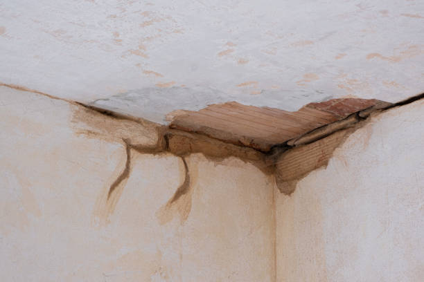 Best Water damage restoration company  in Clarkdale, AZ