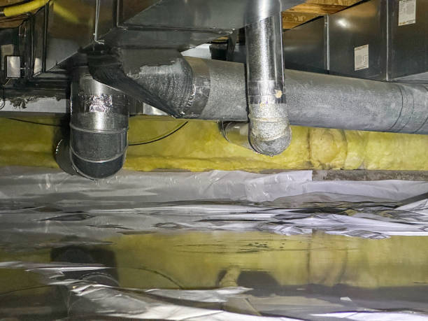 Best Flood damage cleanup  in Clarkdale, AZ