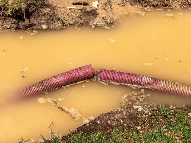 Water damage restoration process in Clarkdale, AZ