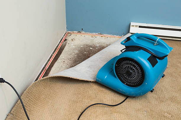 Best Fire Damage Restoration  in Clarkdale, AZ